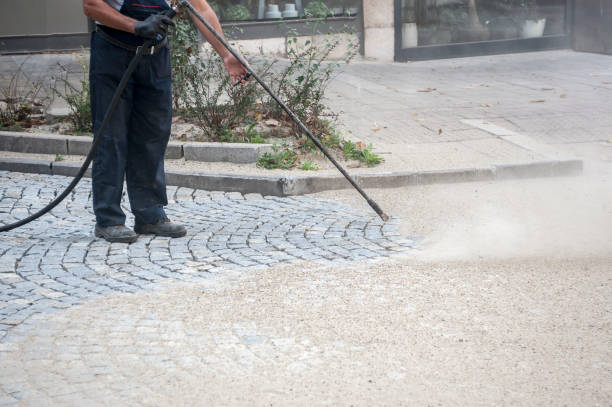 Animal Enclosure Cleaning in Huntland, TN
