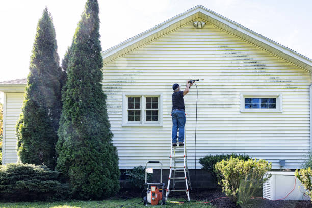 Best Gutter Cleaning  in Huntland, TN